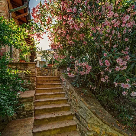 Vakantieboerderij Casanova Di Pescille San Gimignano